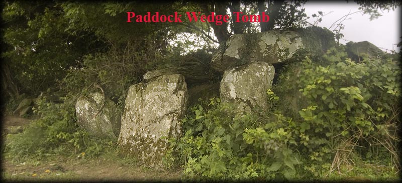 Paddock Wedge Tomb